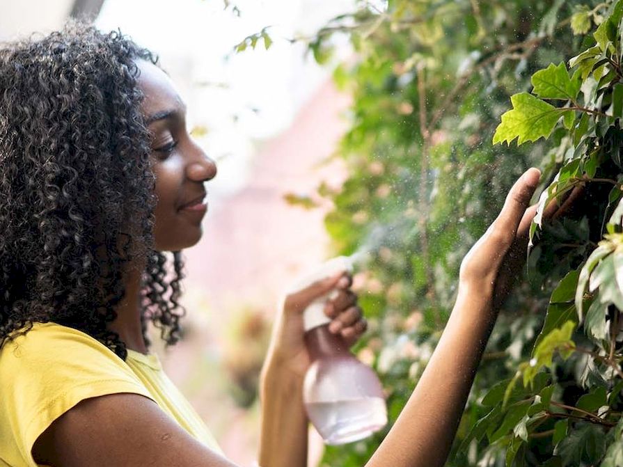 Frau besprüht vertikalen Garten mit Wasser