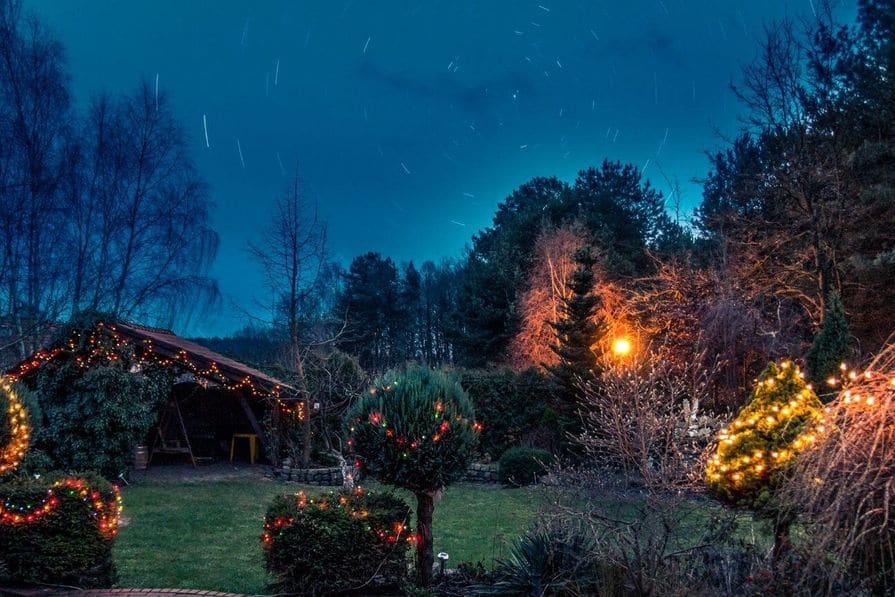 Mit Lichterketten weihnachtlich geschmückter Garten